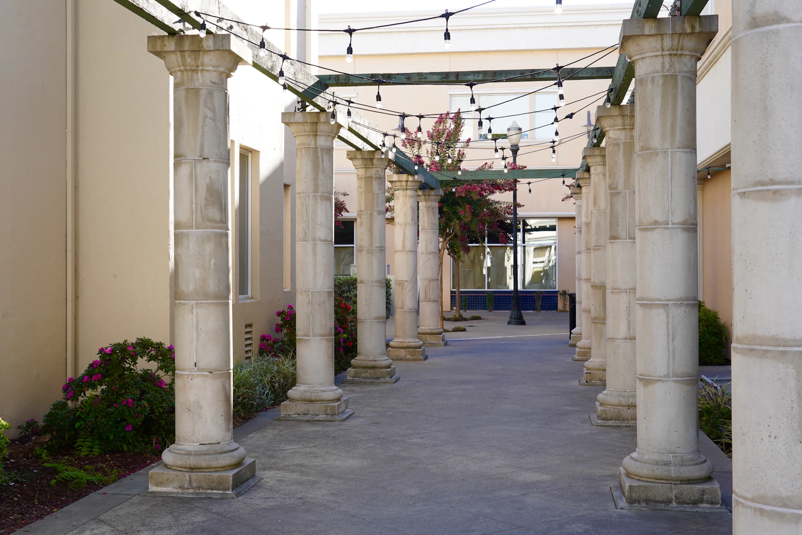 Healdsburg, California photo 8 by Brett Wharton