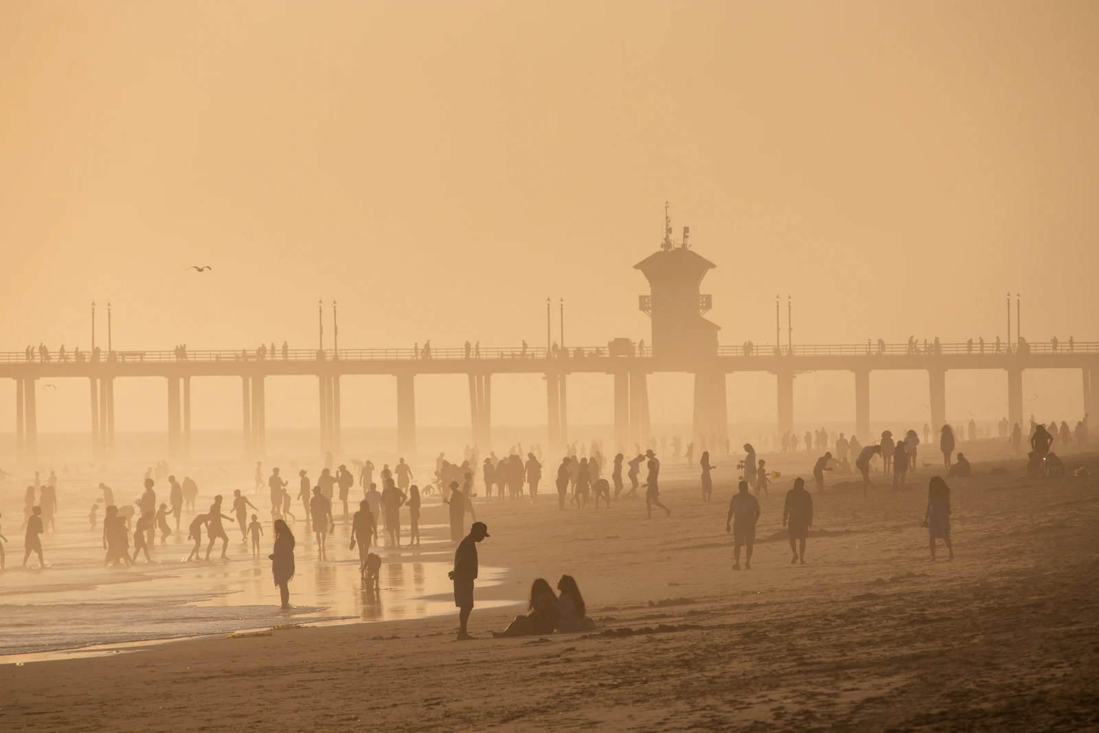 Huntington Beach, California photo 27 by Sven Piper