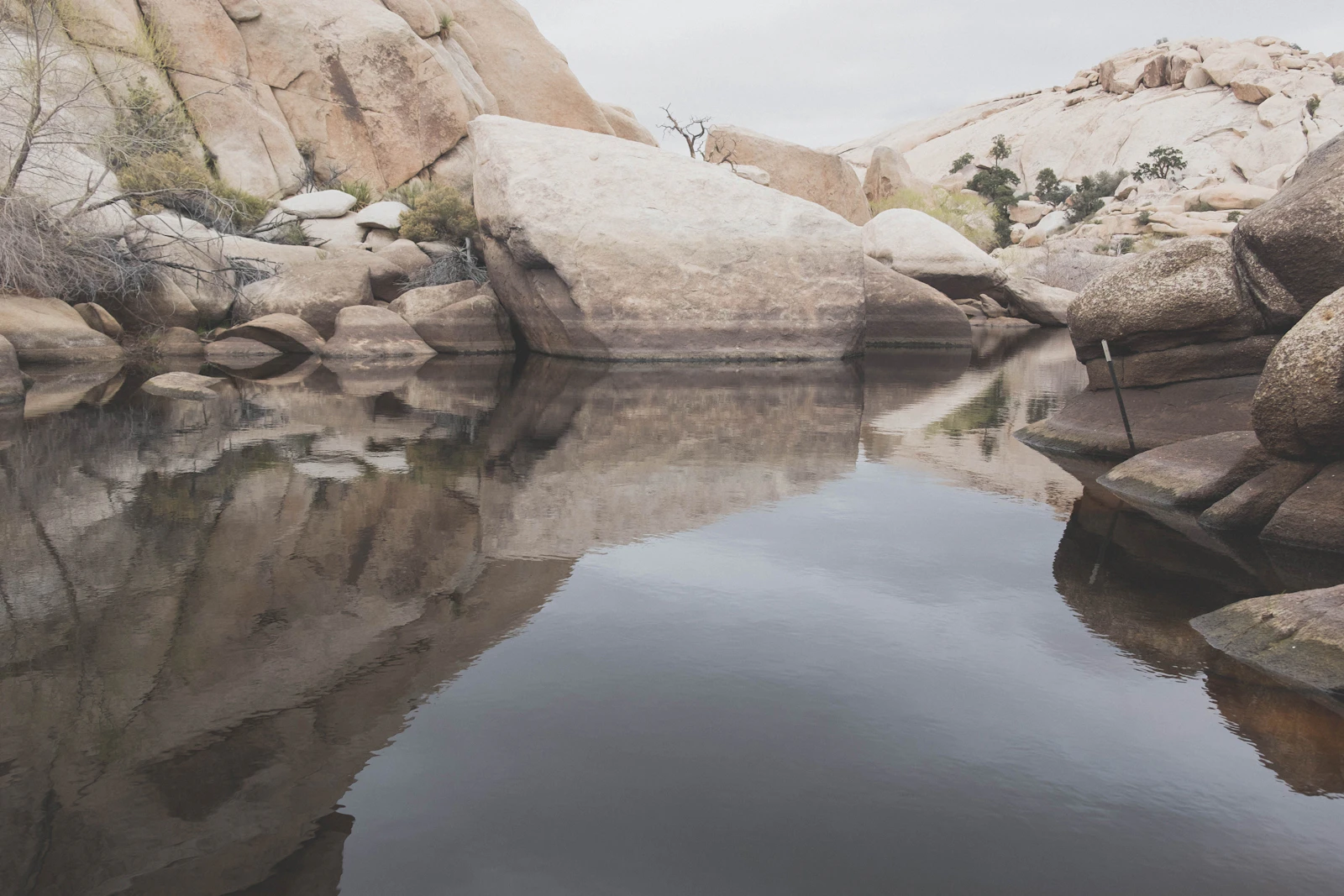 Joshua Tree, California photo 24 by Cortney Chummoungpak