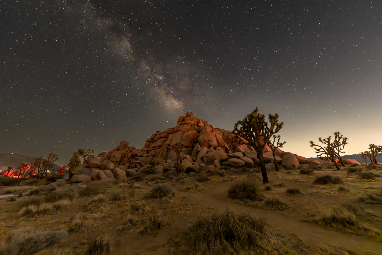 Joshua Tree, California photo 13 by wallace Henry