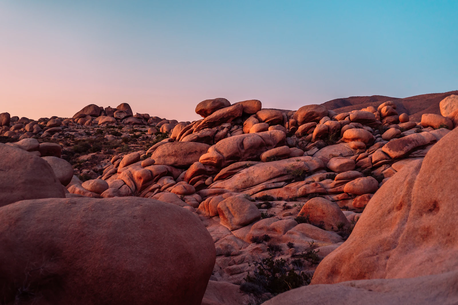 Joshua Tree, California photo 22 by Alex Kramarevsky