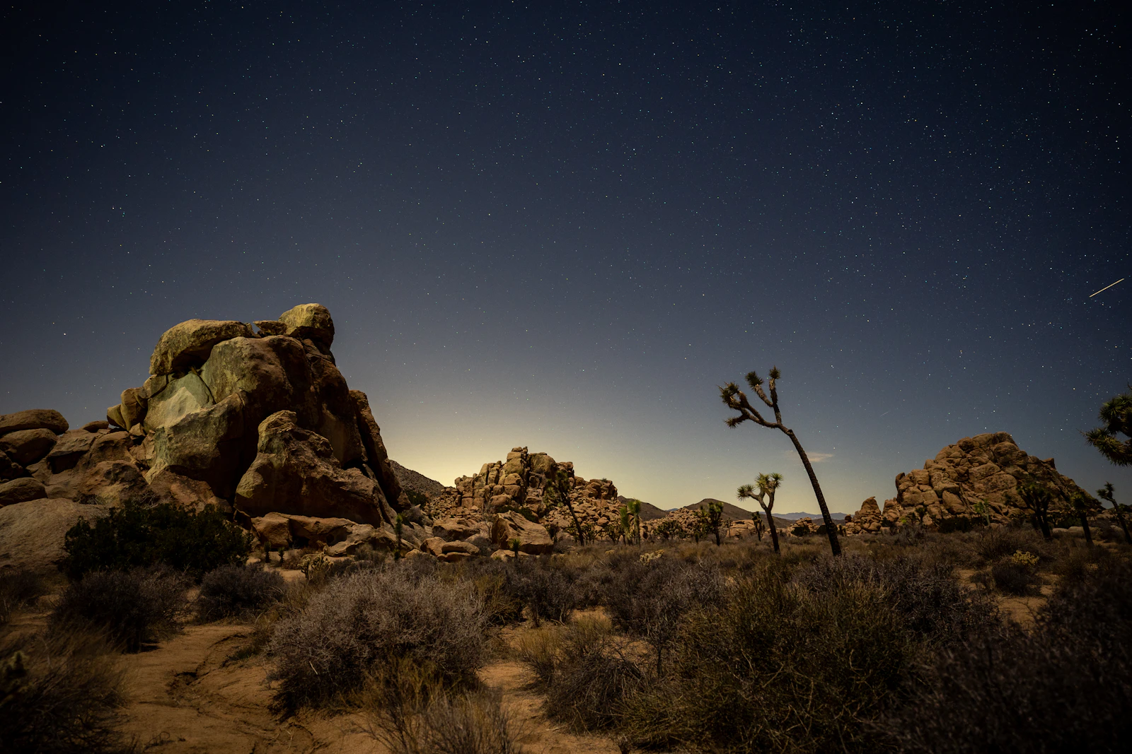 Joshua Tree, California photo 10 by Art Litvinau
