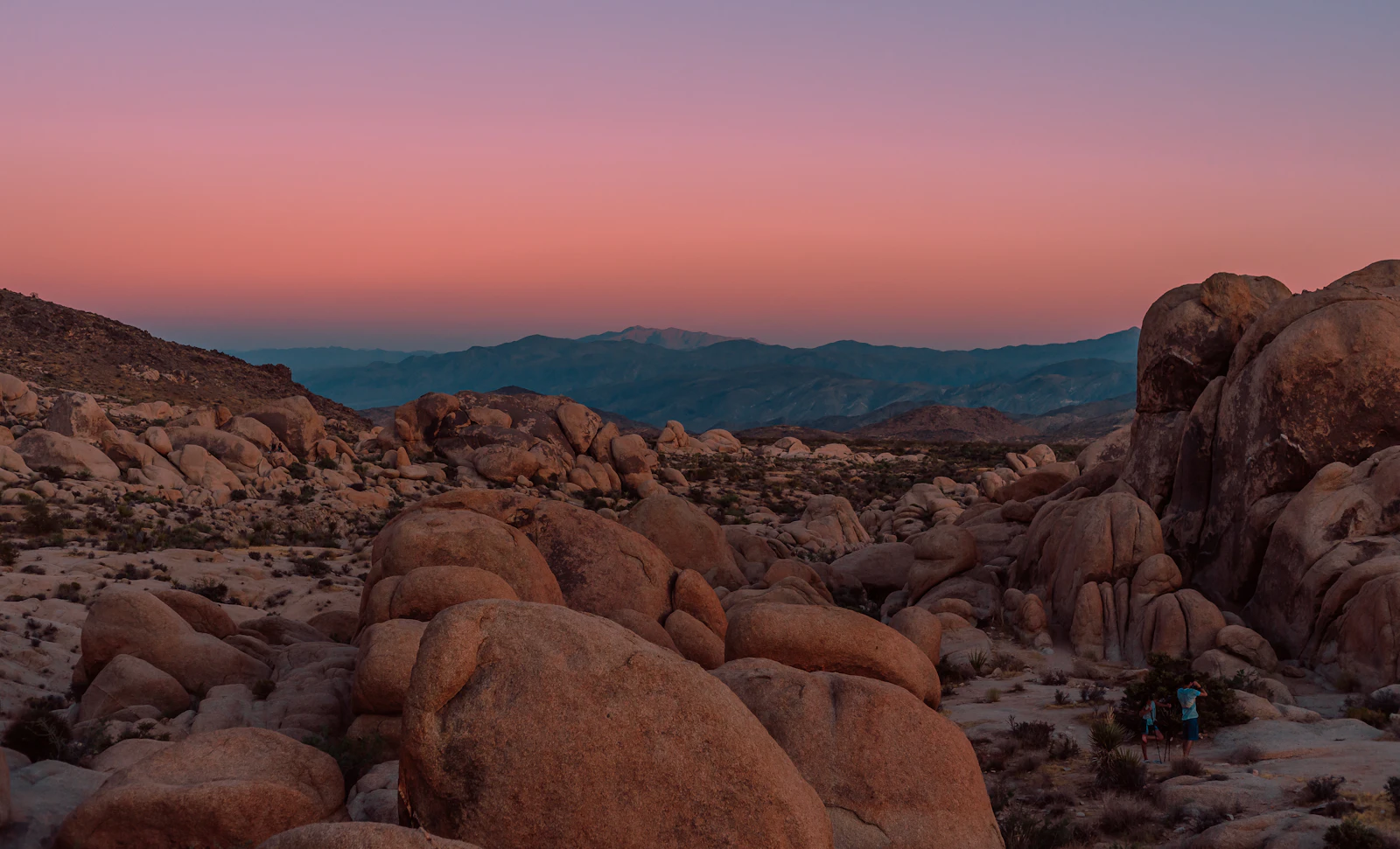 Joshua Tree, California photo 12 by Alex Kramarevsky