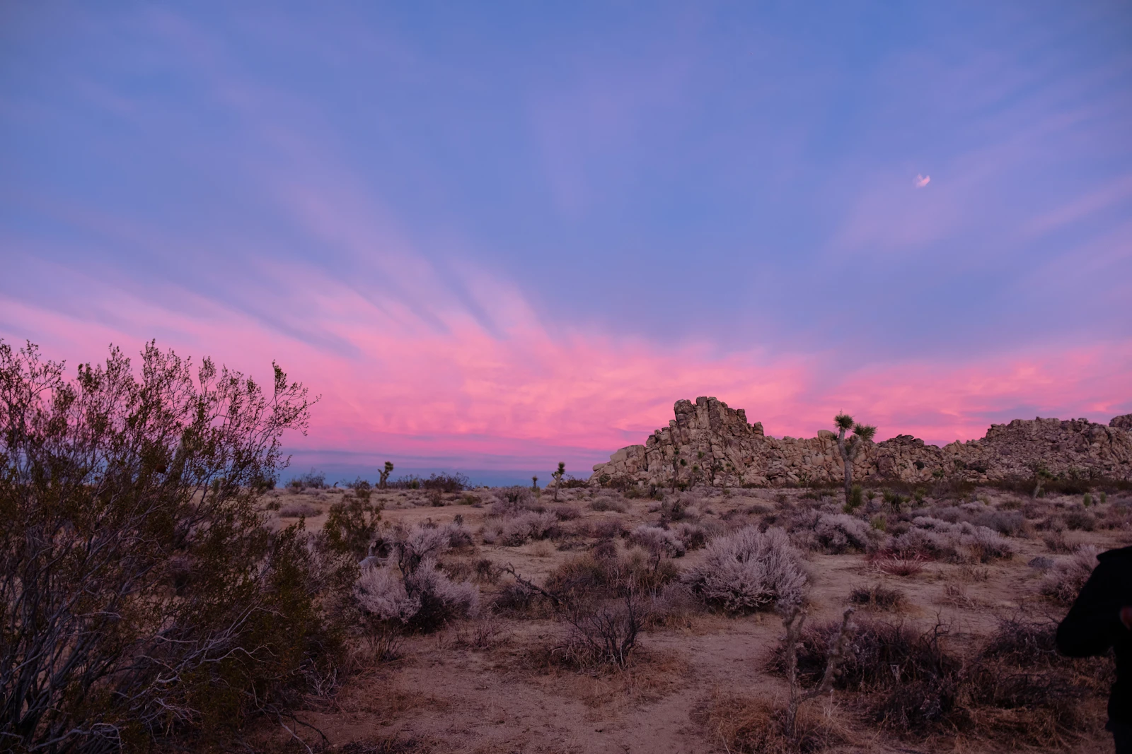 Joshua Tree, California photo 15 by Ben Stern