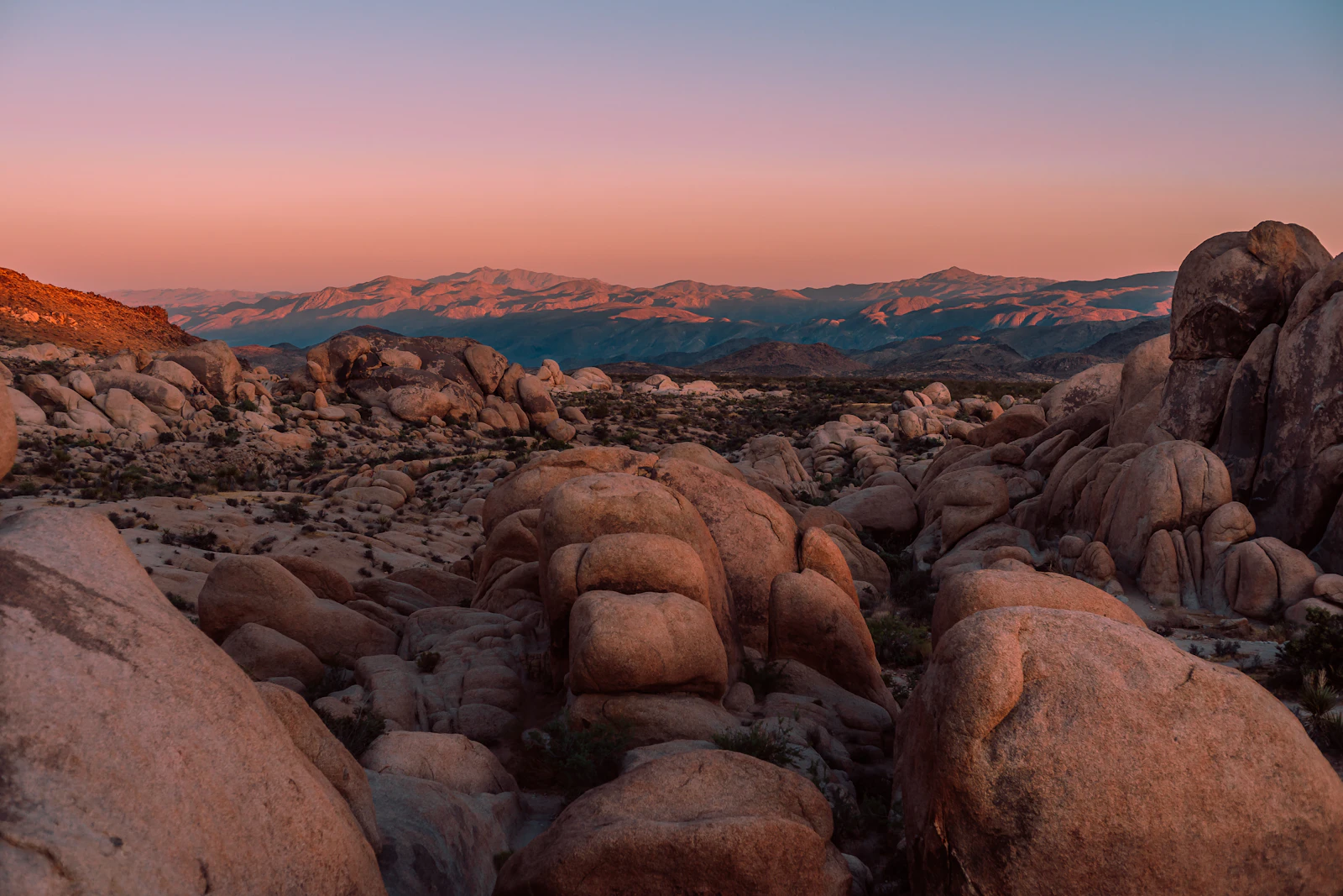Joshua Tree, California photo 3 by Alex Kramarevsky