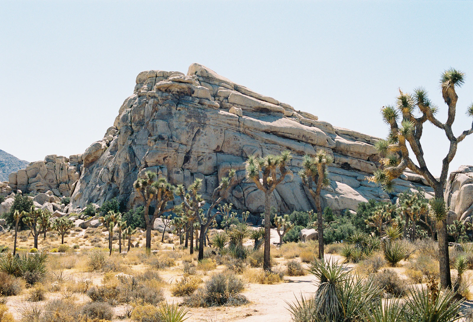 Joshua Tree, California photo 20 by Pablo Heimplatz