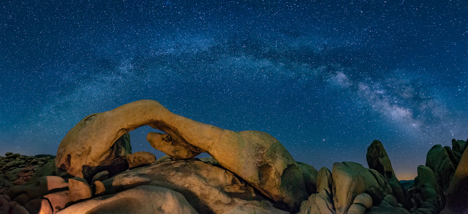 Joshua Tree, California photo 29 by Janell Searles