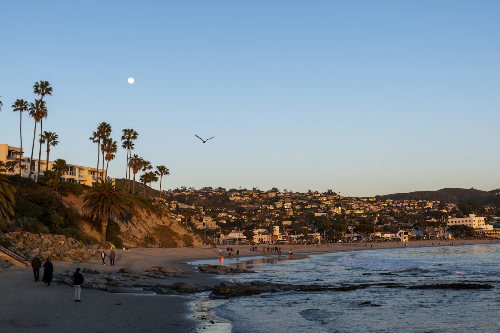 Laguna Beach, California photo 5 by Trac Vu
