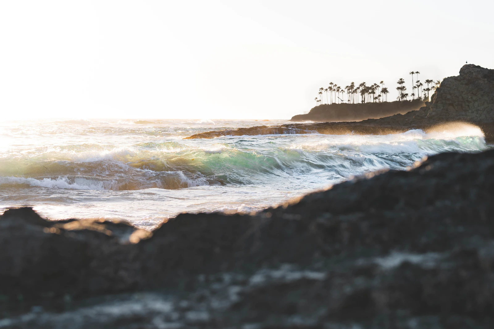 Laguna Beach, California photo 13 by Samantha Fortney