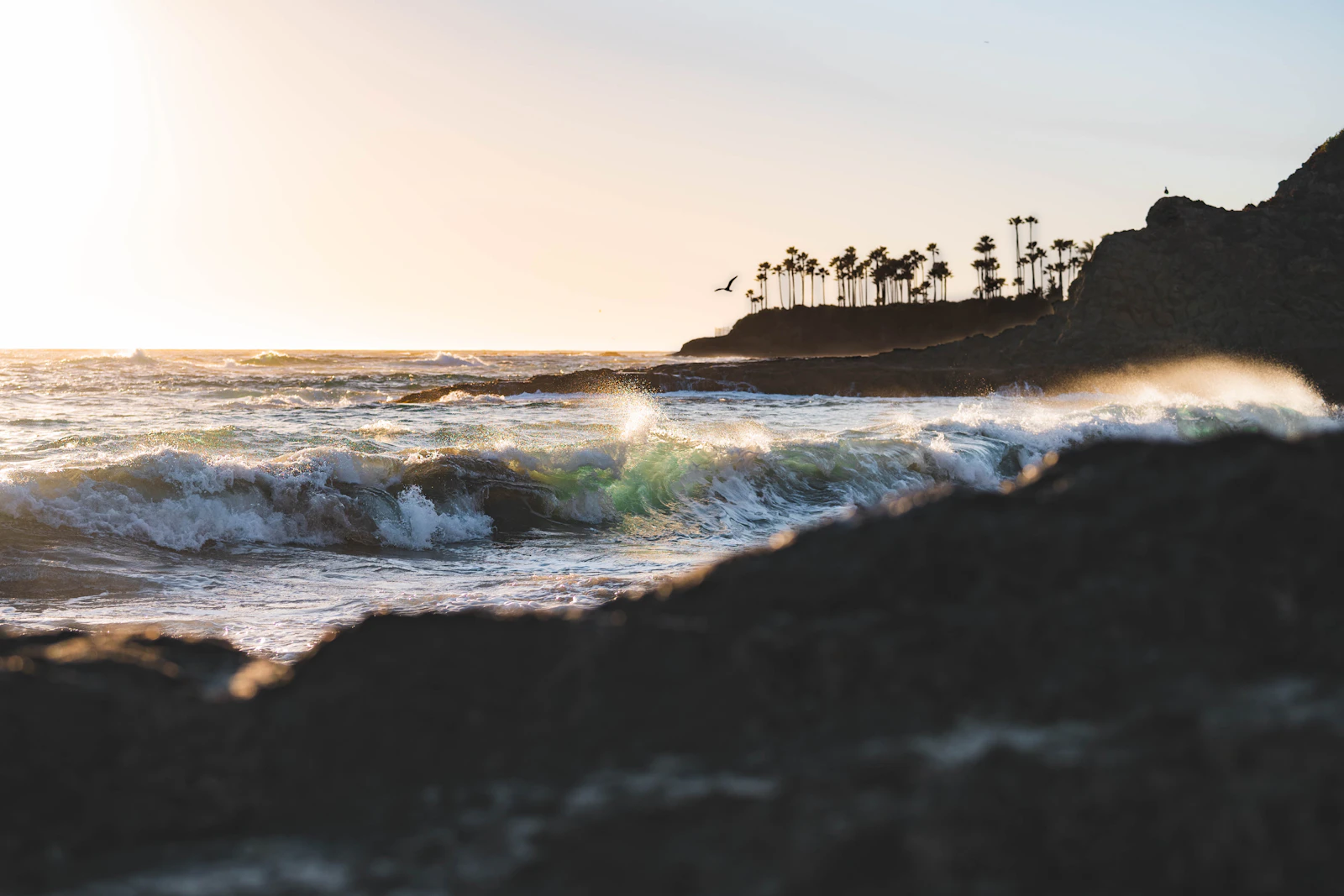 Laguna Beach, California photo 9 by Samantha Fortney
