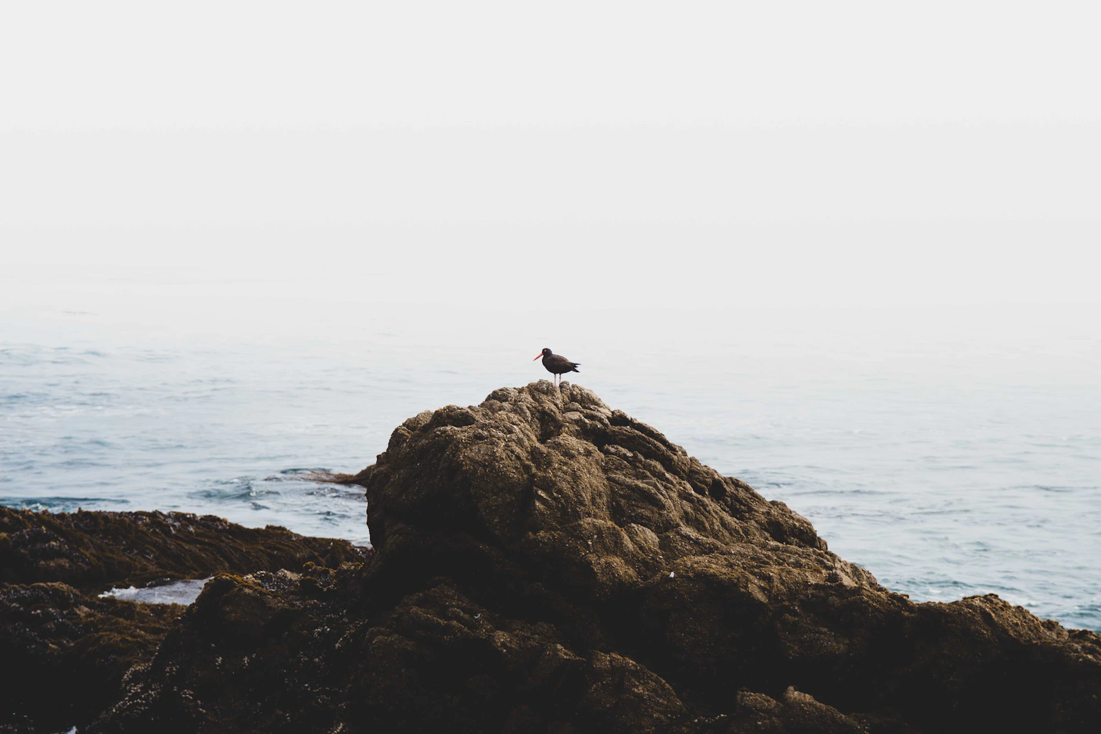 Long Beach, California photo 21 by Julian Kronlachner