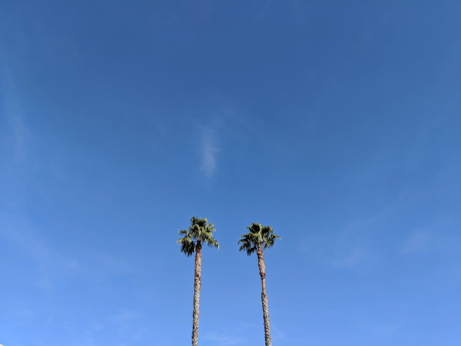 Long Beach, California photo 14 by STEPHEN POORE
