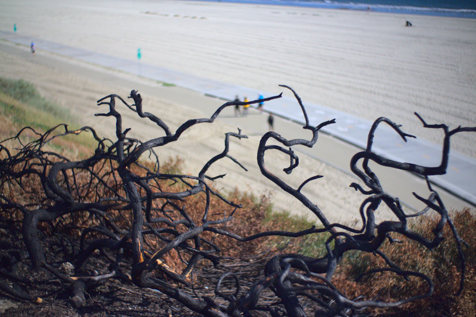 Long Beach, California photo 15 by Arthur Reeder