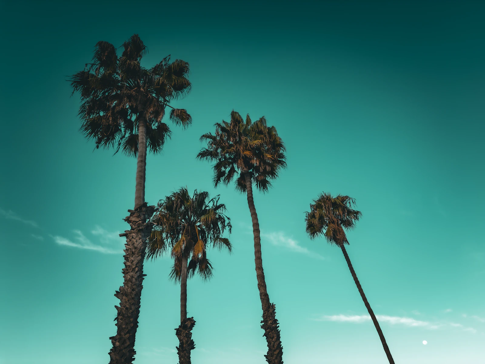 Long Beach, California photo 20 by Logan Voss