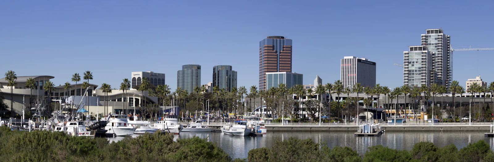 Long Beach, California photo 3 by Daniel Sinoca