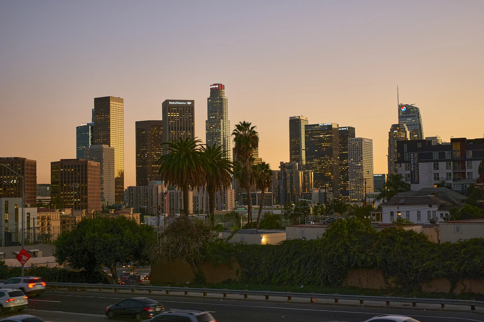 Los Angeles, California photo 9 by Riccardo Tuninato