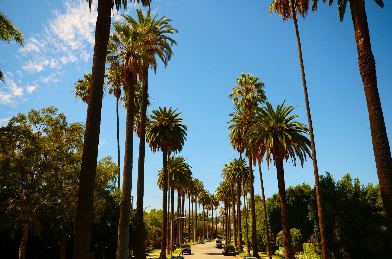 Los Angeles, California photo 28 by Haneen Krimly