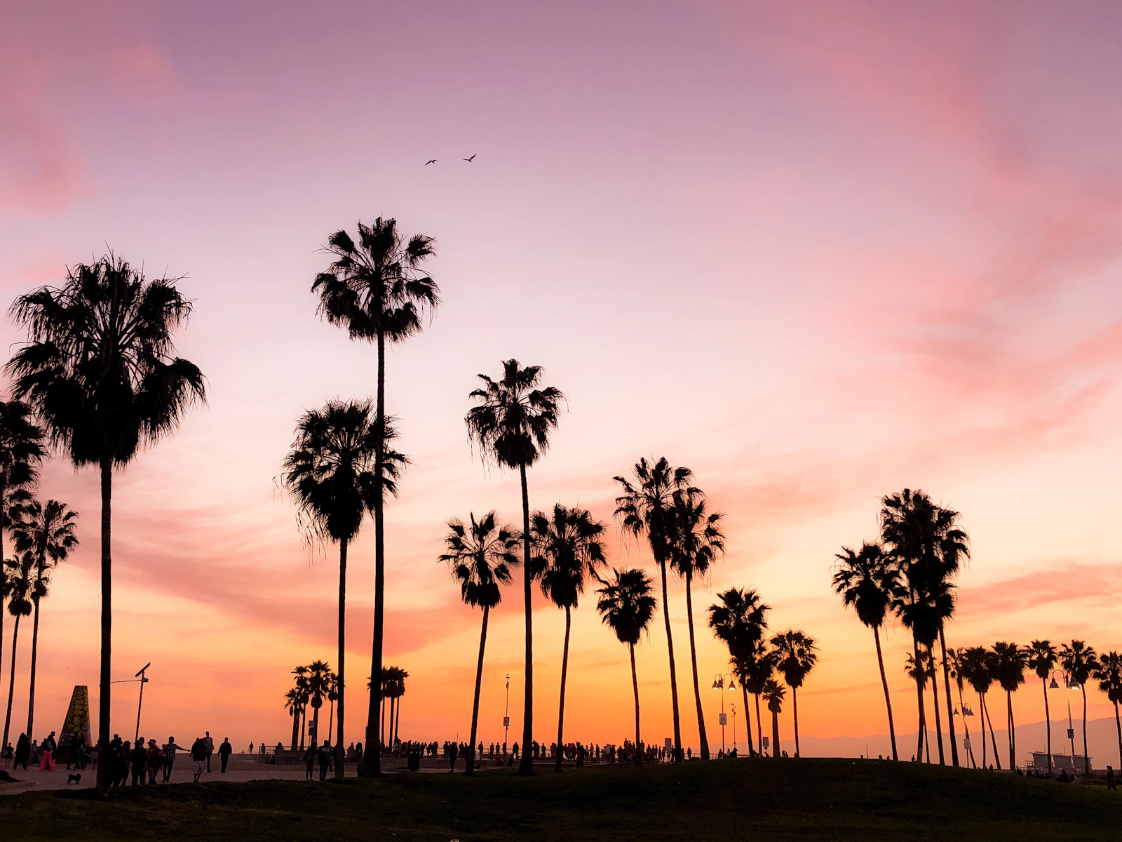 Los Angeles, California photo 6 by Viviana Rishe