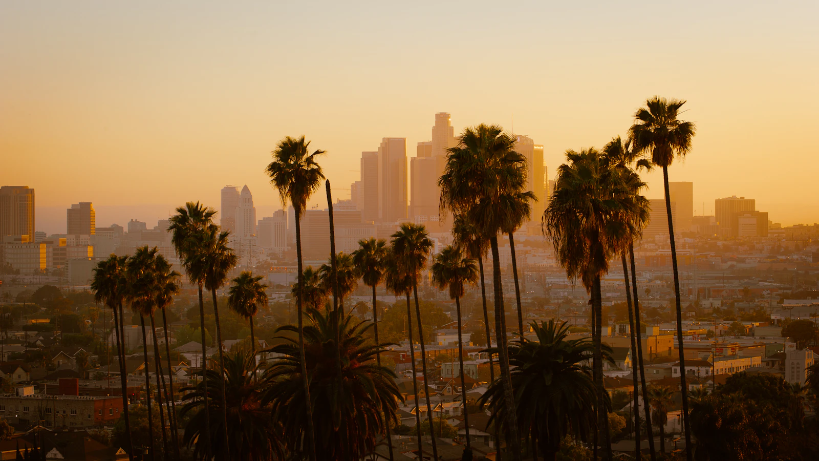 Los Angeles, California photo 1 by Cedric Letsch