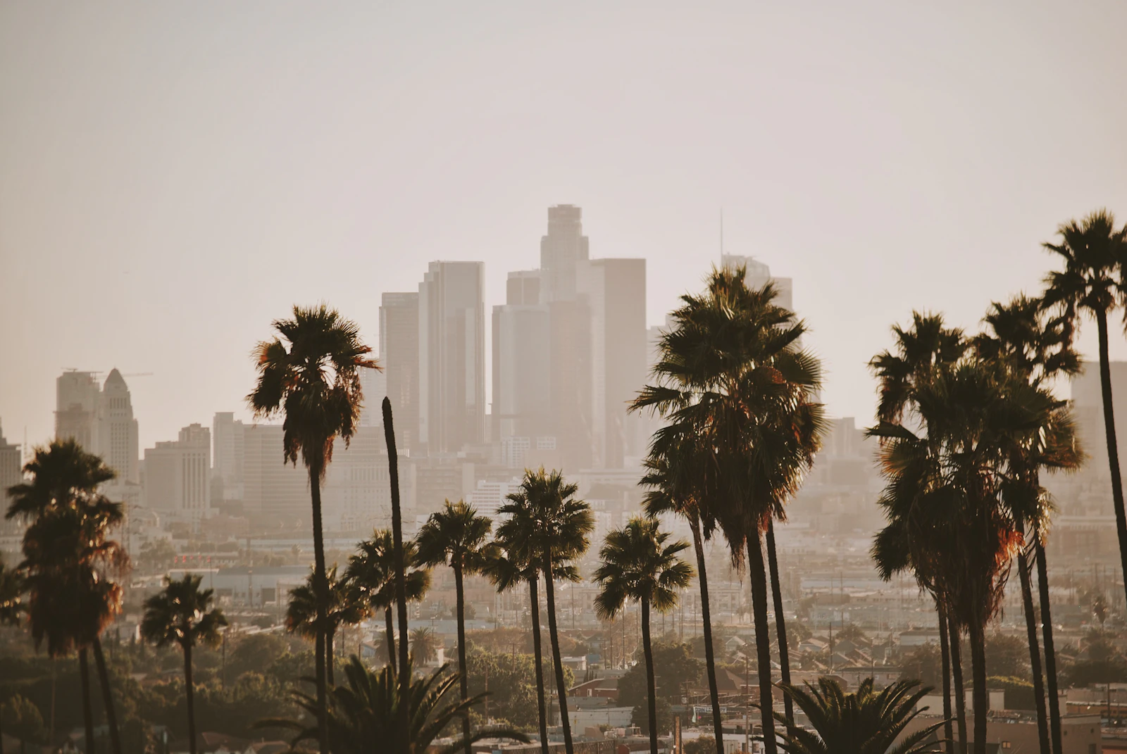 Los Angeles, California photo 12 by Joel Mott