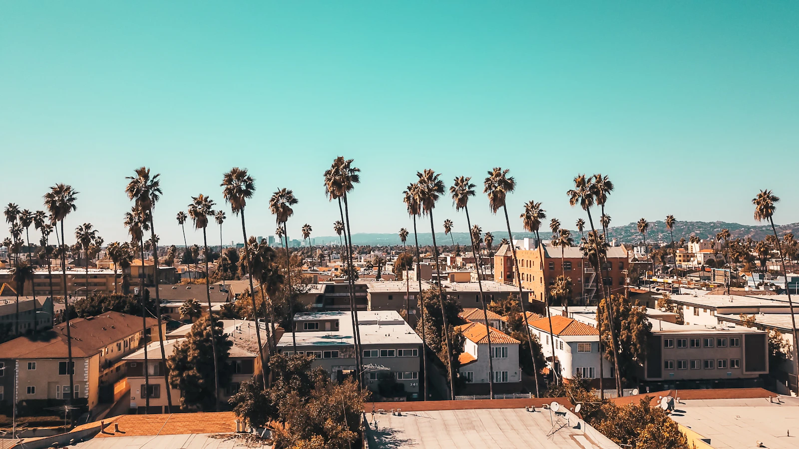Los Angeles, California photo 17 by Drew Dau