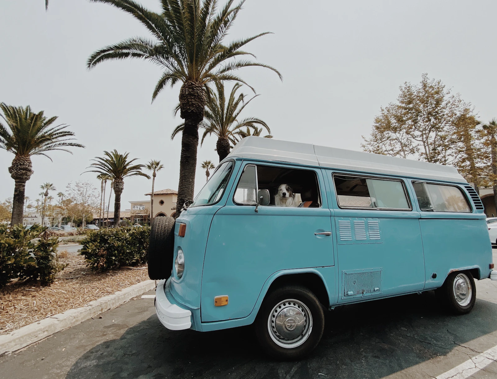 Malibu, California photo 29 by Chelsea Audibert