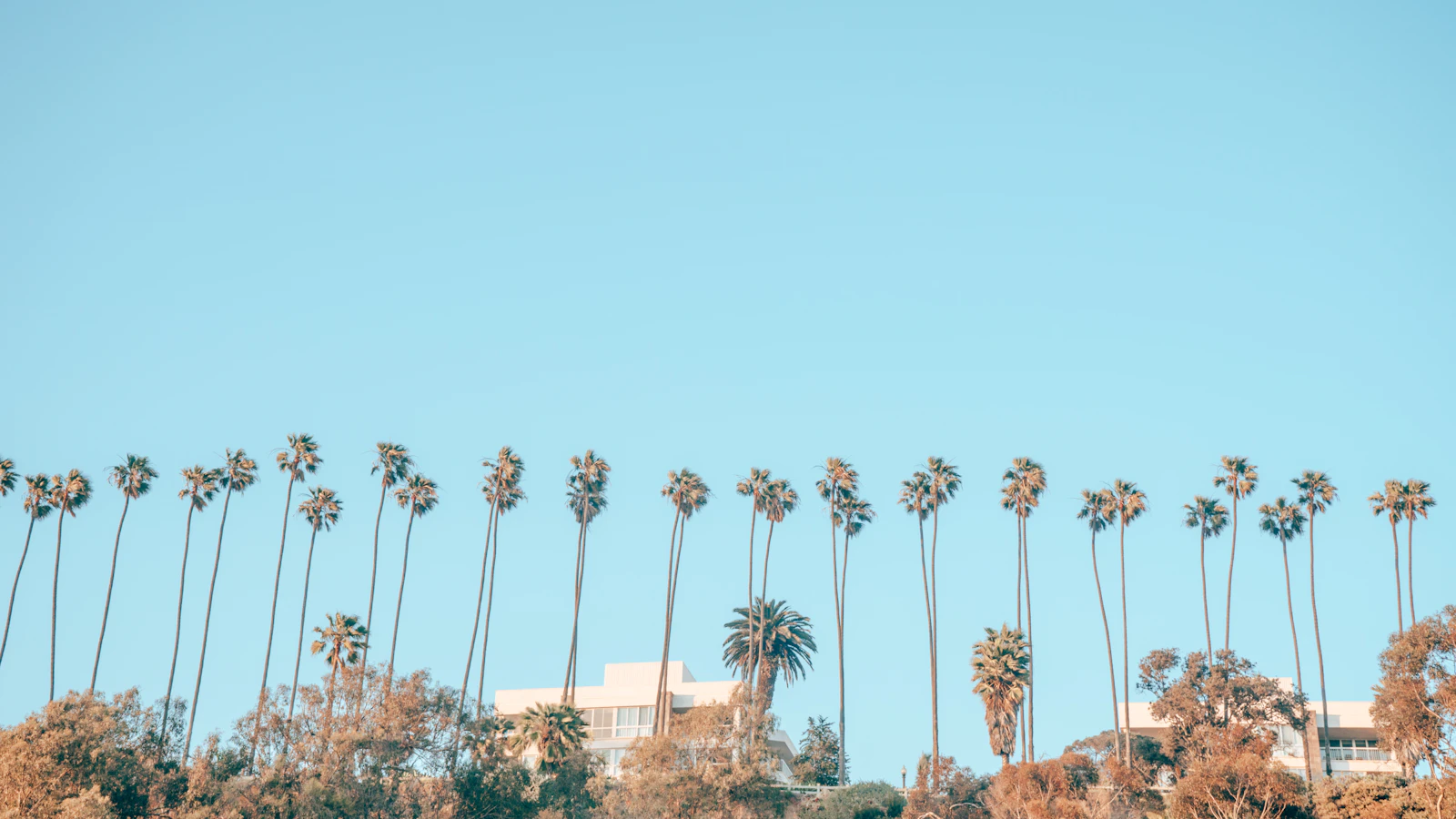 Malibu, California photo 7 by Lauren Richmond