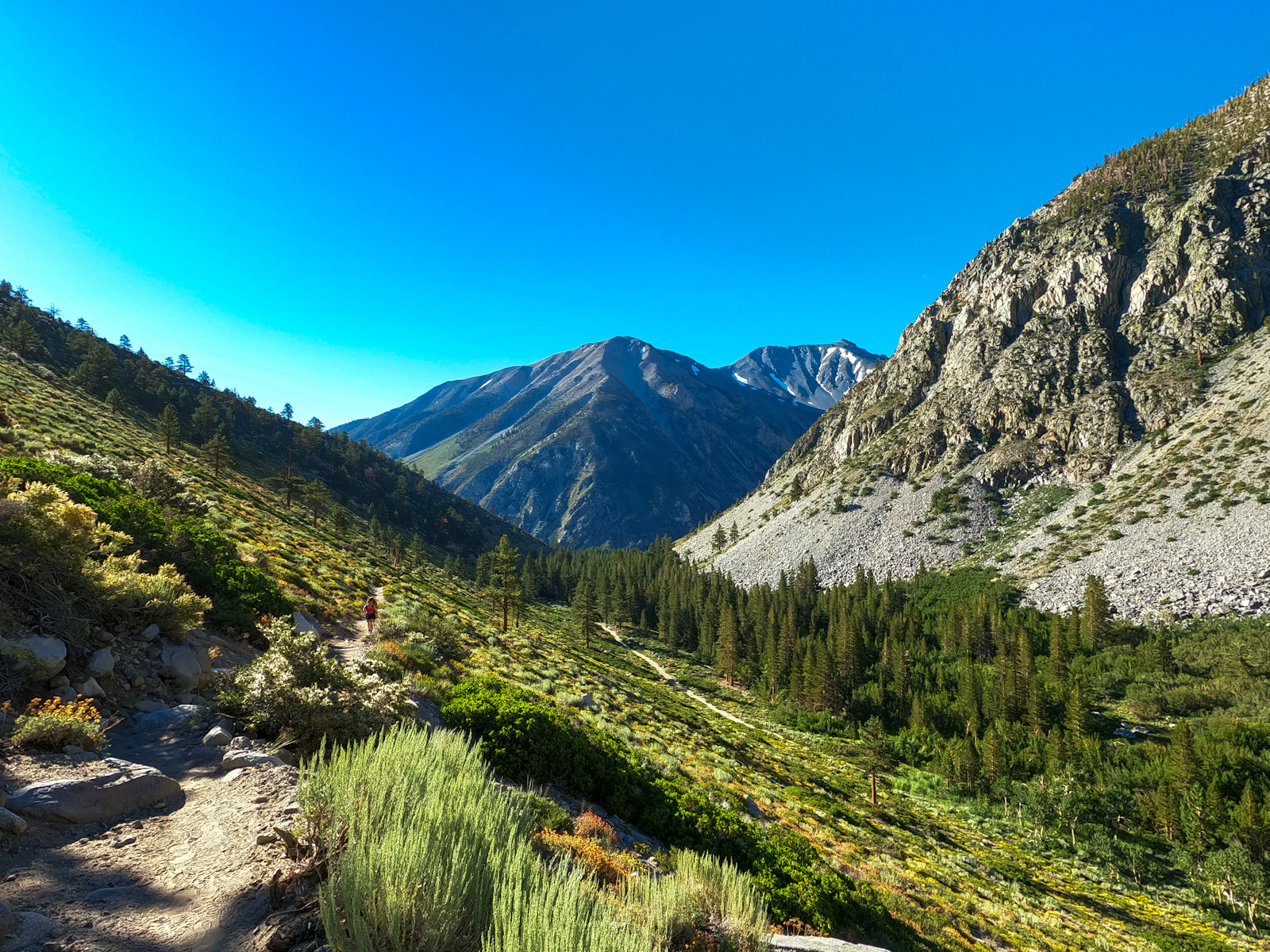 Mammoth Lakes, California photo 25 by Maxim Tsirik