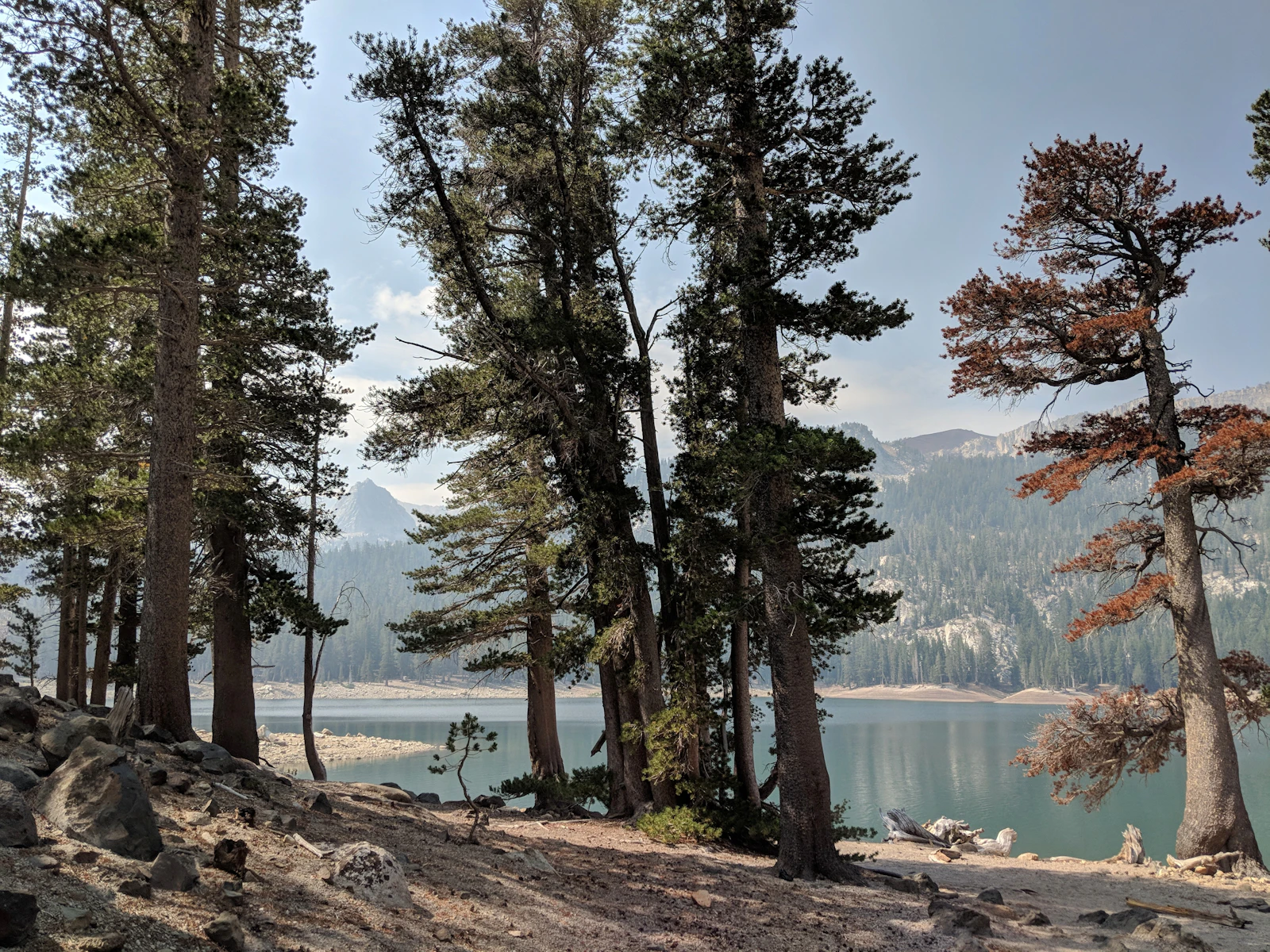 Mammoth Lakes, California photo 23 by Nienke Witteveen