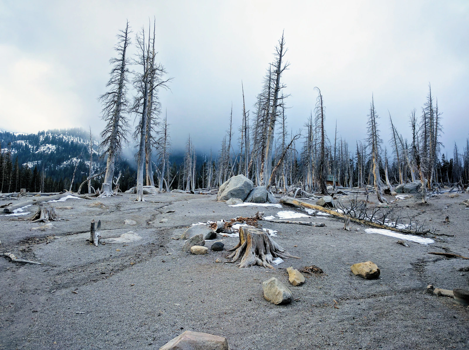 Mammoth Lakes, California photo 14 by Igor Oliyarnik