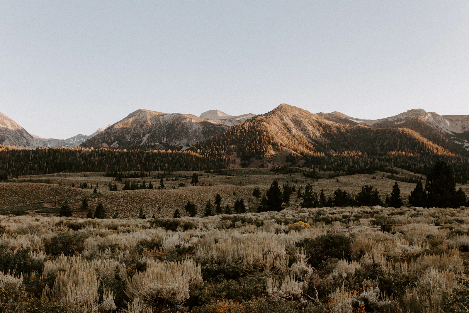 Mammoth Lakes, California photo 26 by Pat Rindone