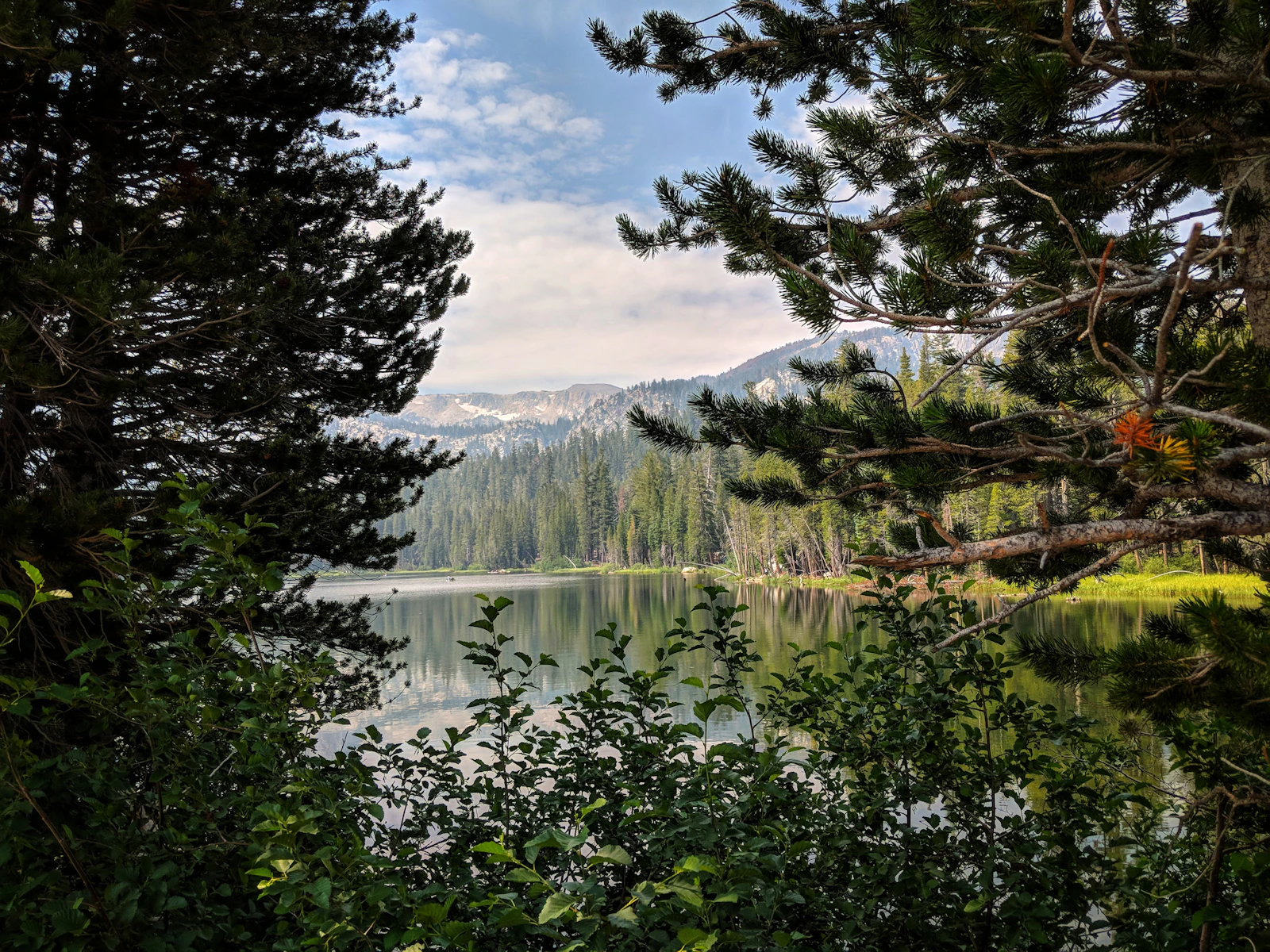 Mammoth Lakes, California photo 18 by Nienke Witteveen