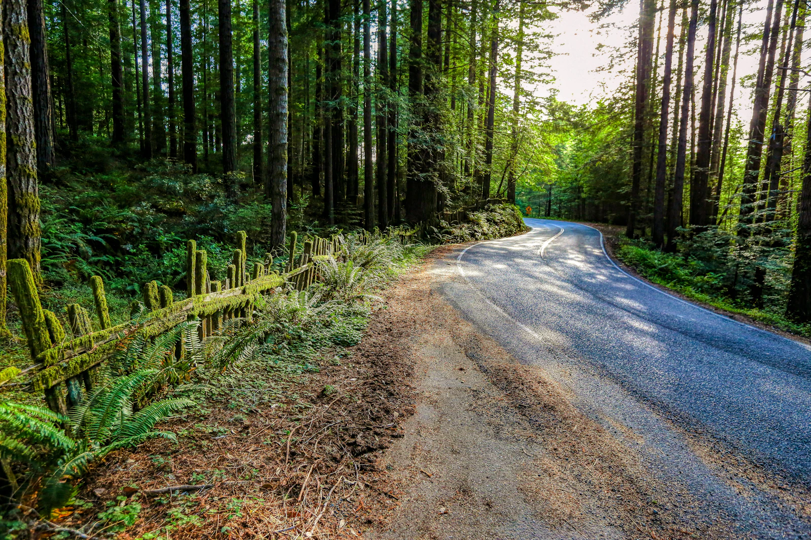 Mendocino, California photo 24 by Mick Haupt