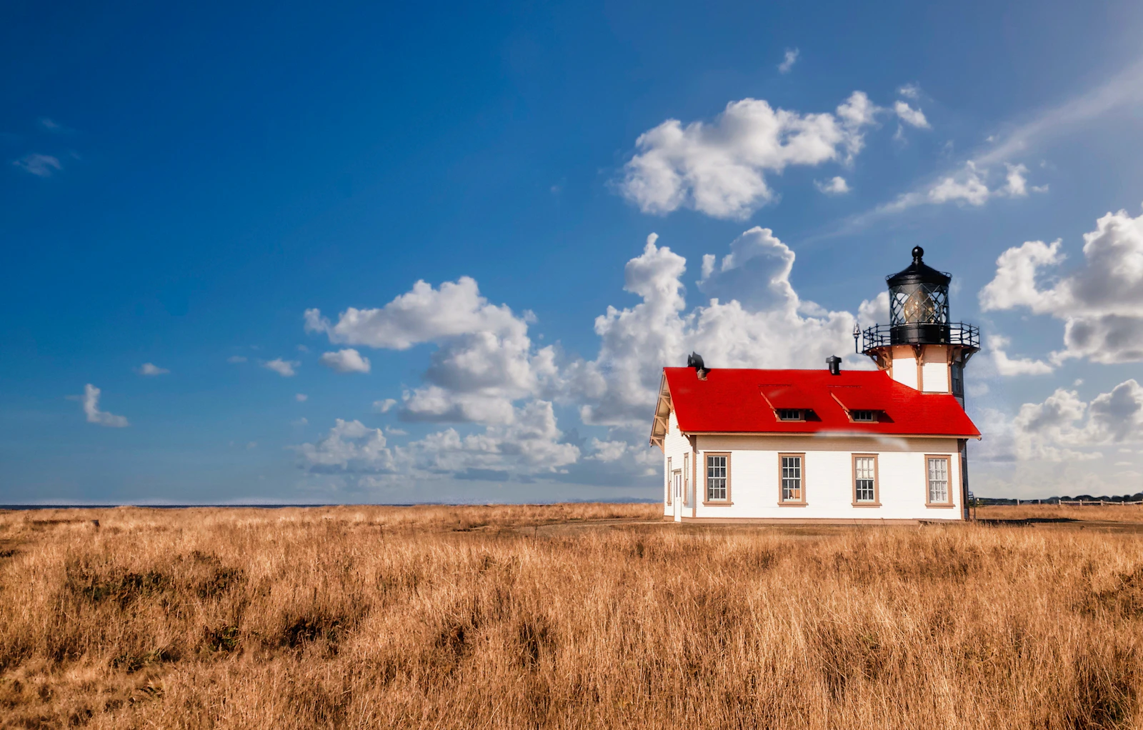 Mendocino, California photo 6 by Dan Wroblewski