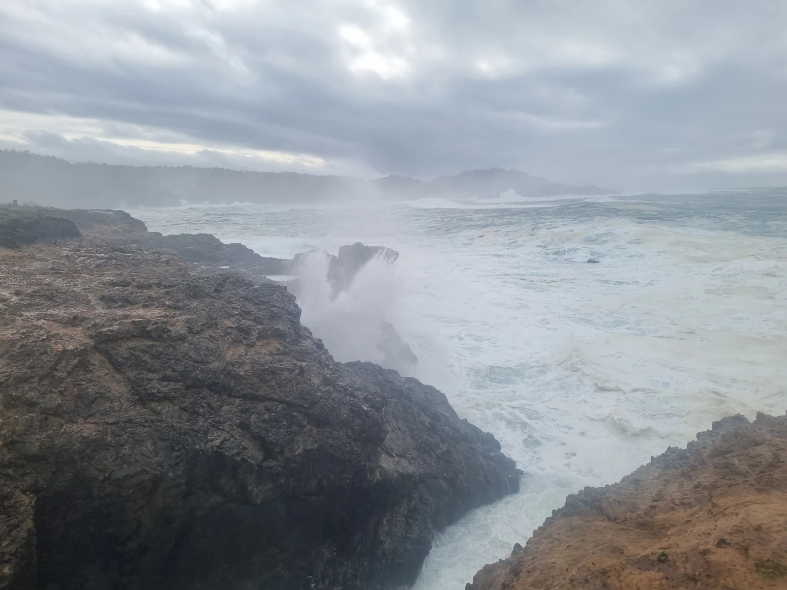 Mendocino, California photo 11 by Mikita C