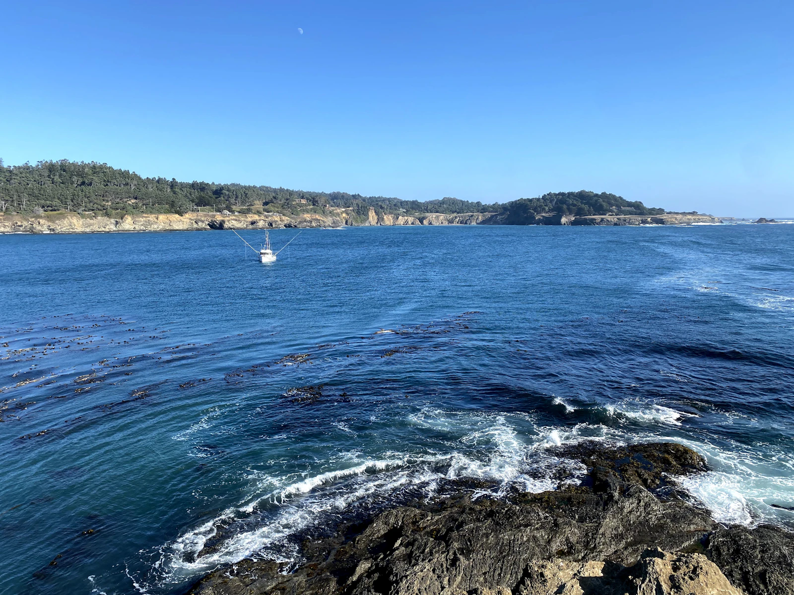 Mendocino, California photo 16 by Carlos Wolters