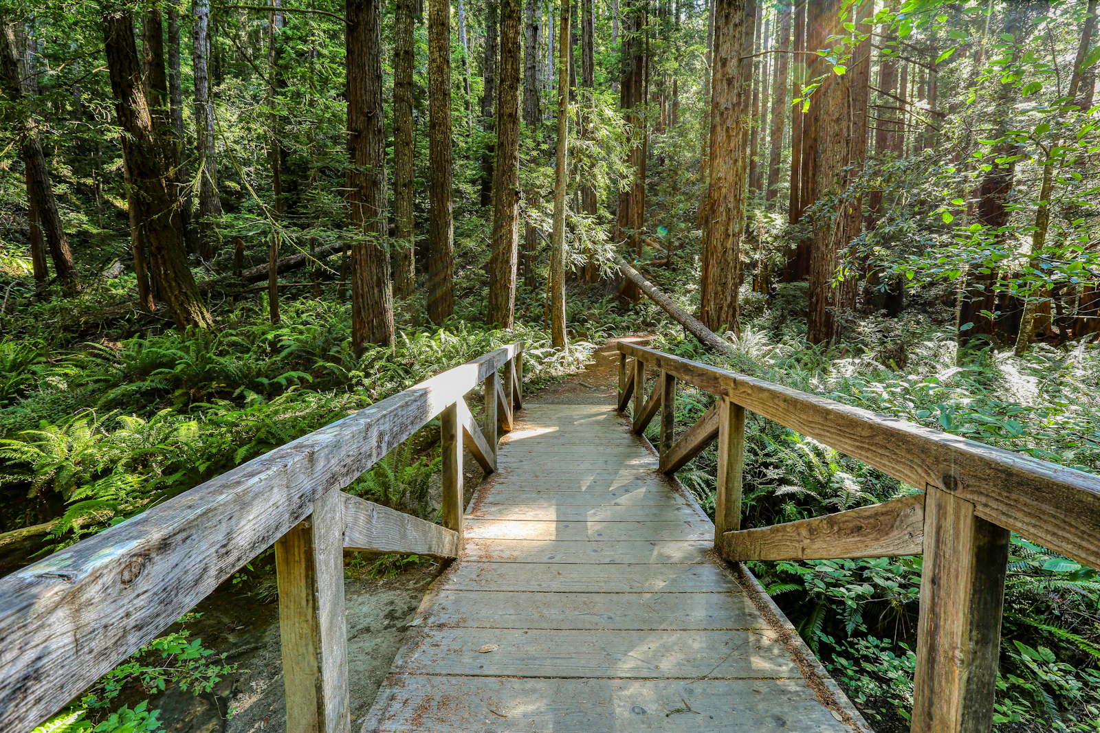 Mendocino, California photo 28 by Mick Haupt