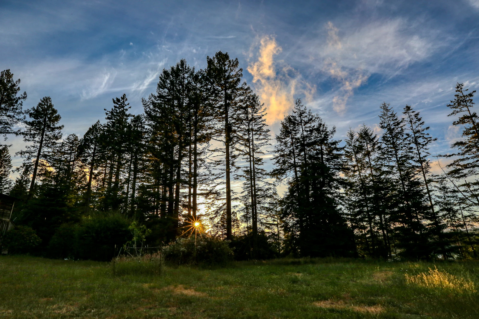 Mendocino, California photo 17 by Mick Haupt