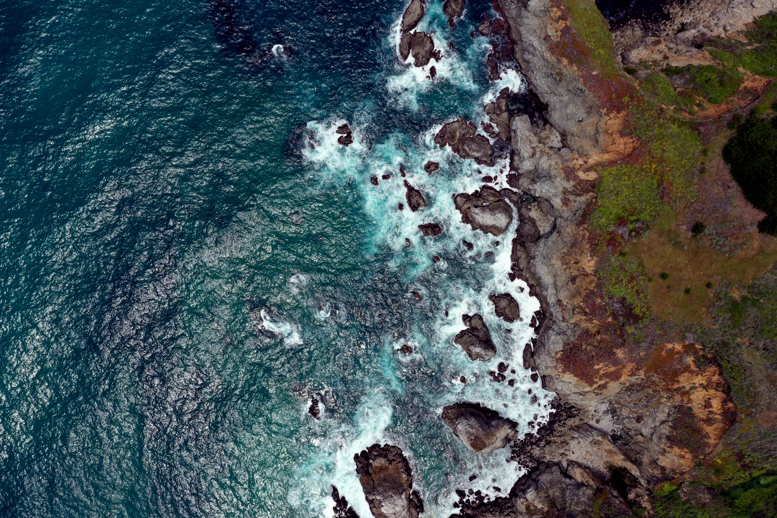 Monterey, California photo 21 by Chris Romaine
