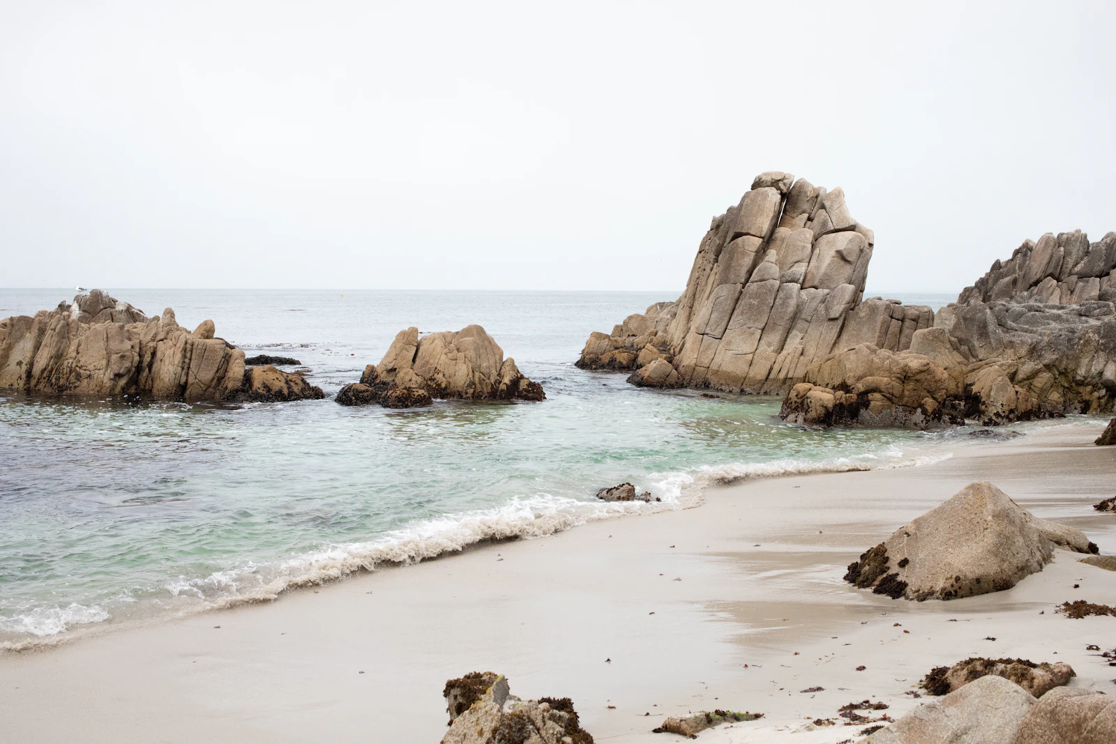 Monterey, California photo 7 by Rebecca Lane