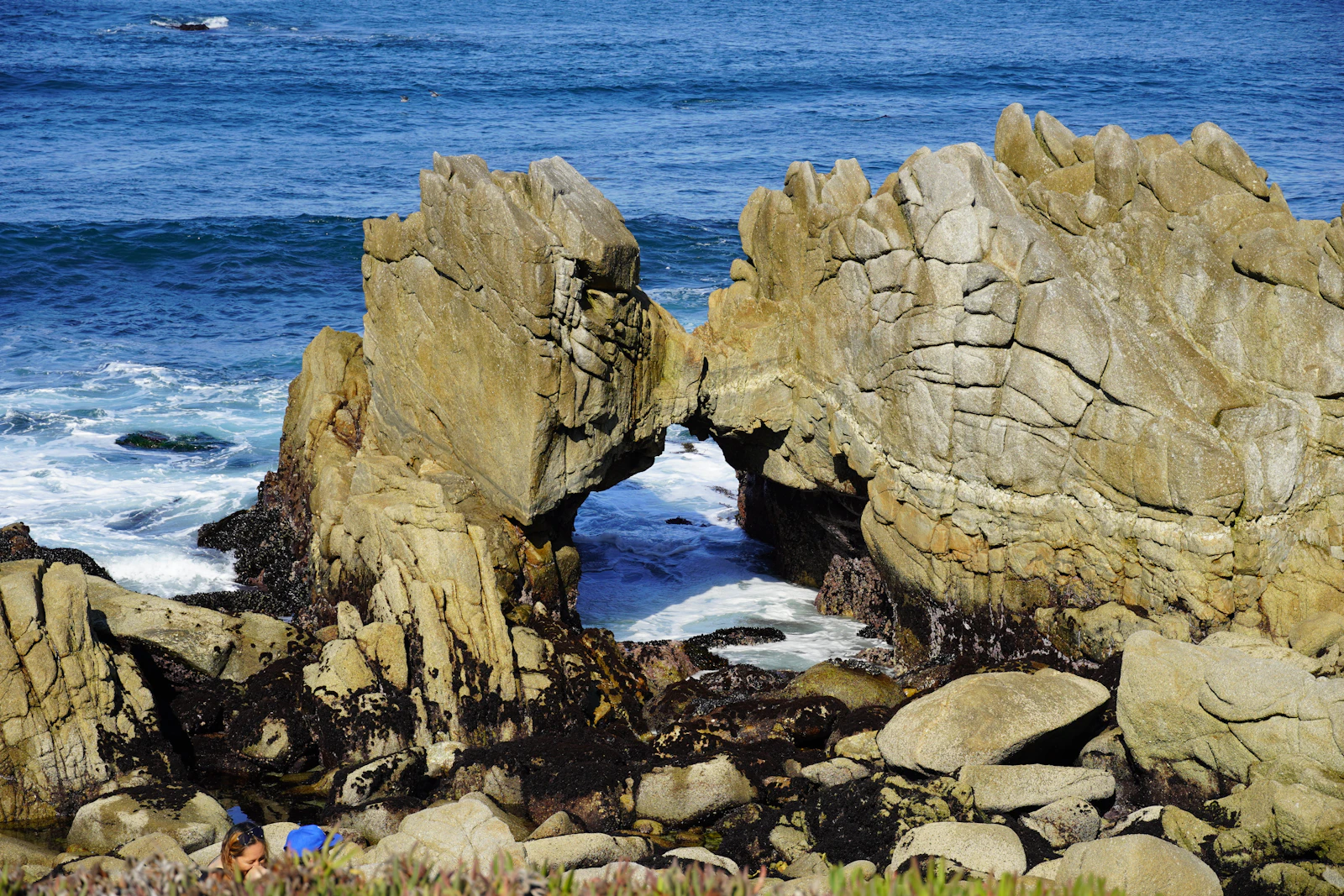 Monterey, California photo 17 by Ron Turner