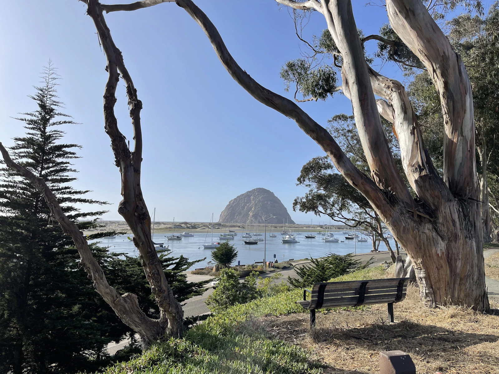 Morro Bay, California photo 4 by Octavia Krug