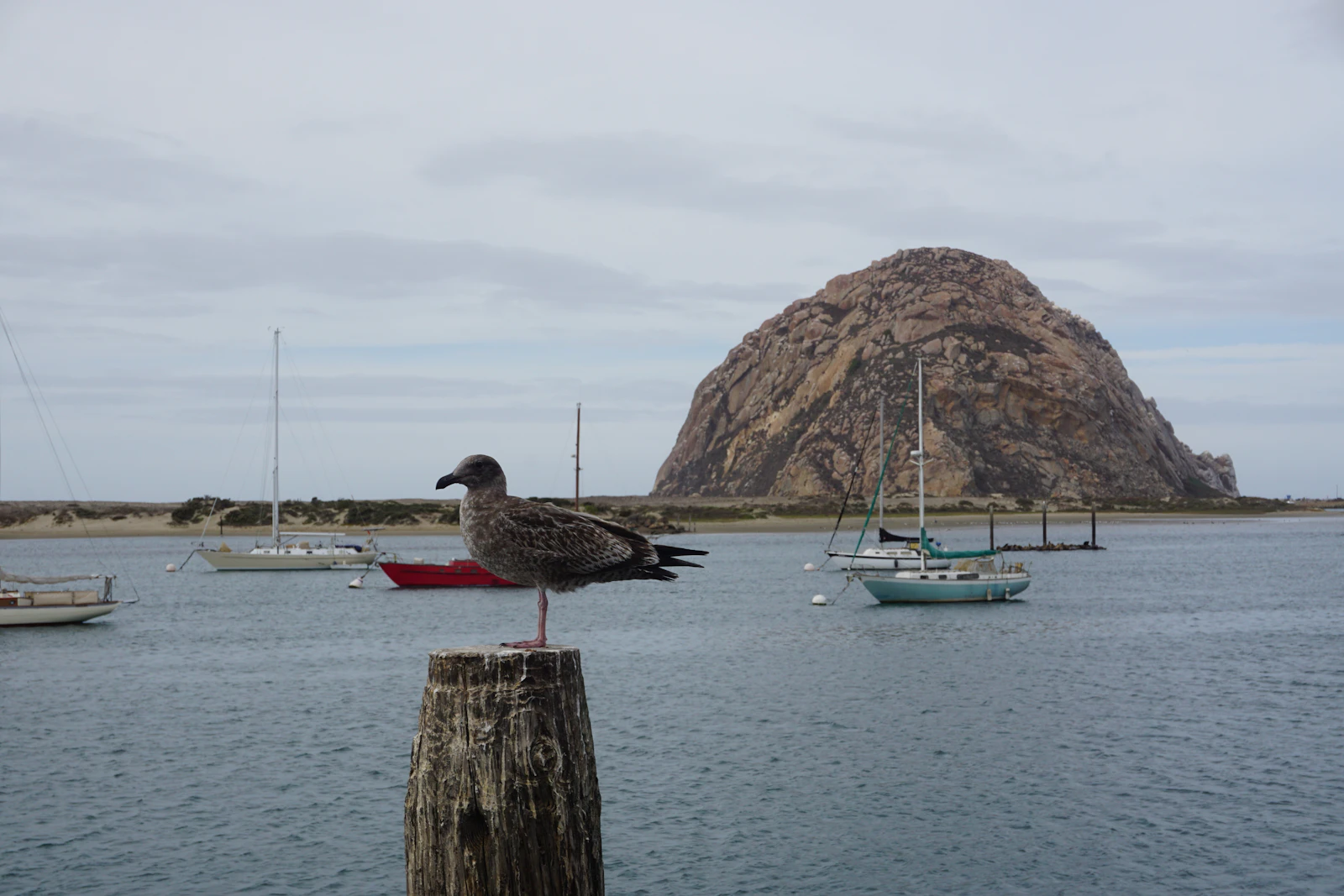 Morro Bay, California photo 13 by roy zeigerman