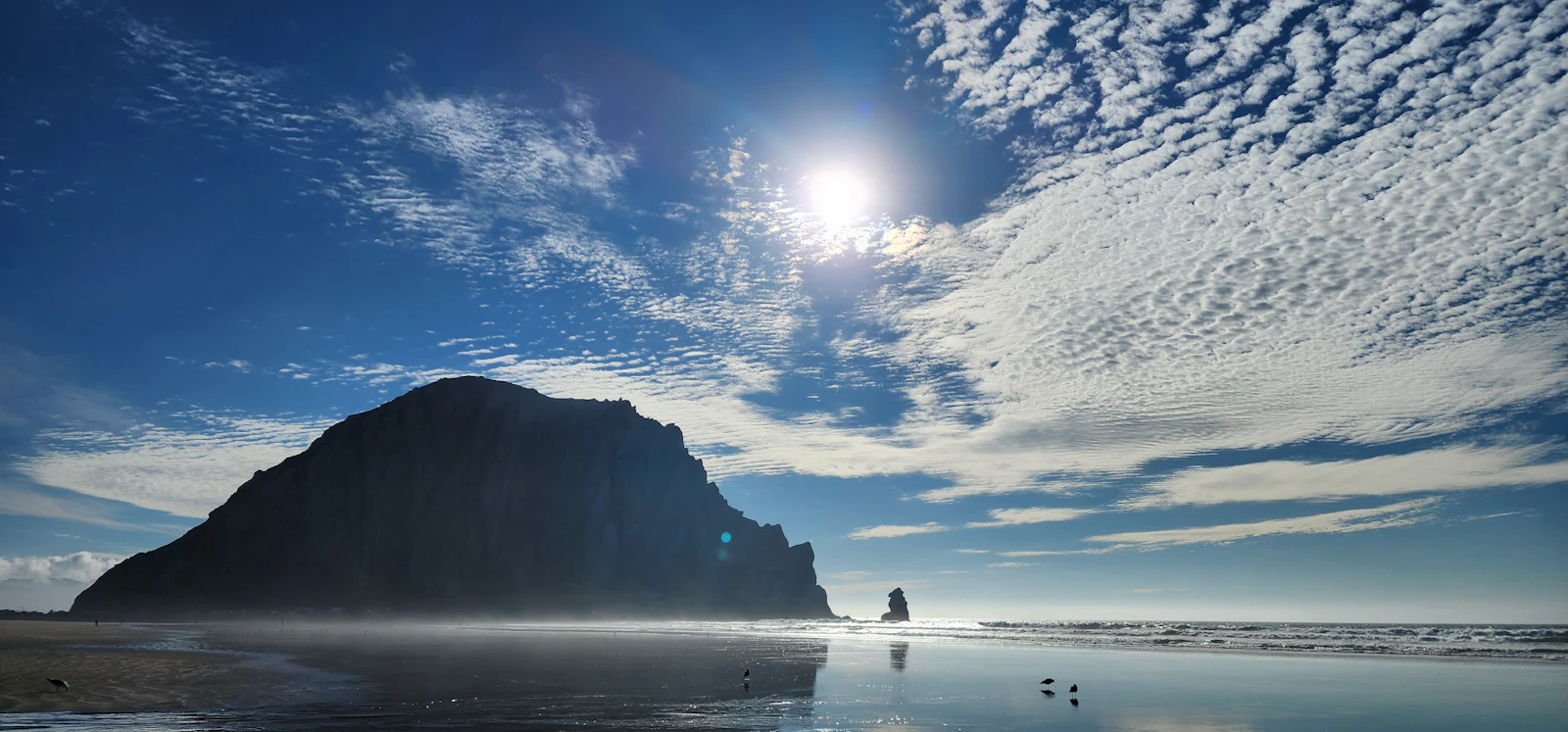 Morro Bay, California photo 11 by MicheleKay Saiki-Poaha