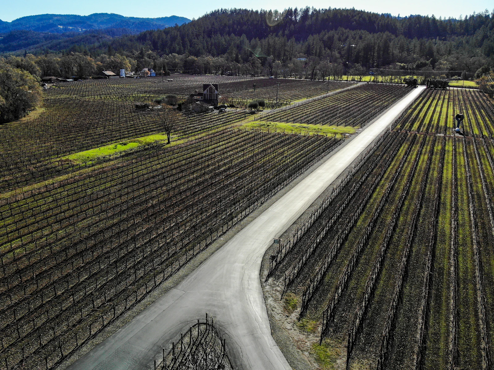 Napa, California photo 20 by Shreyas shah