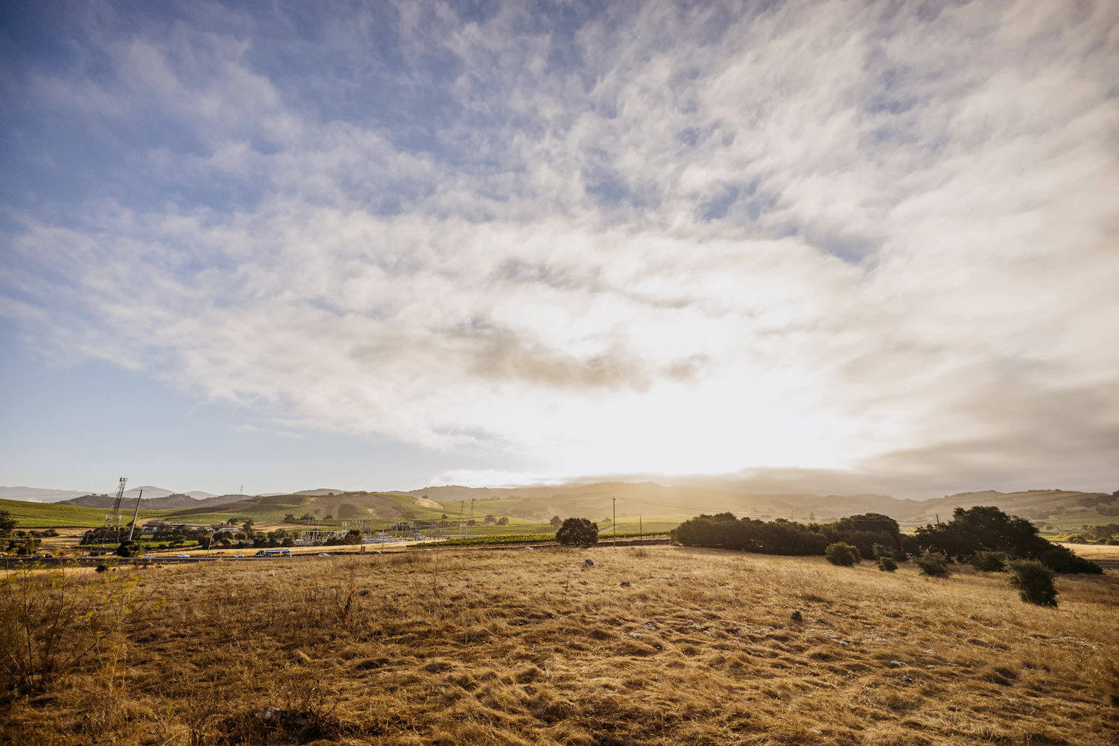 Napa, California photo 14 by Alex Reynolds