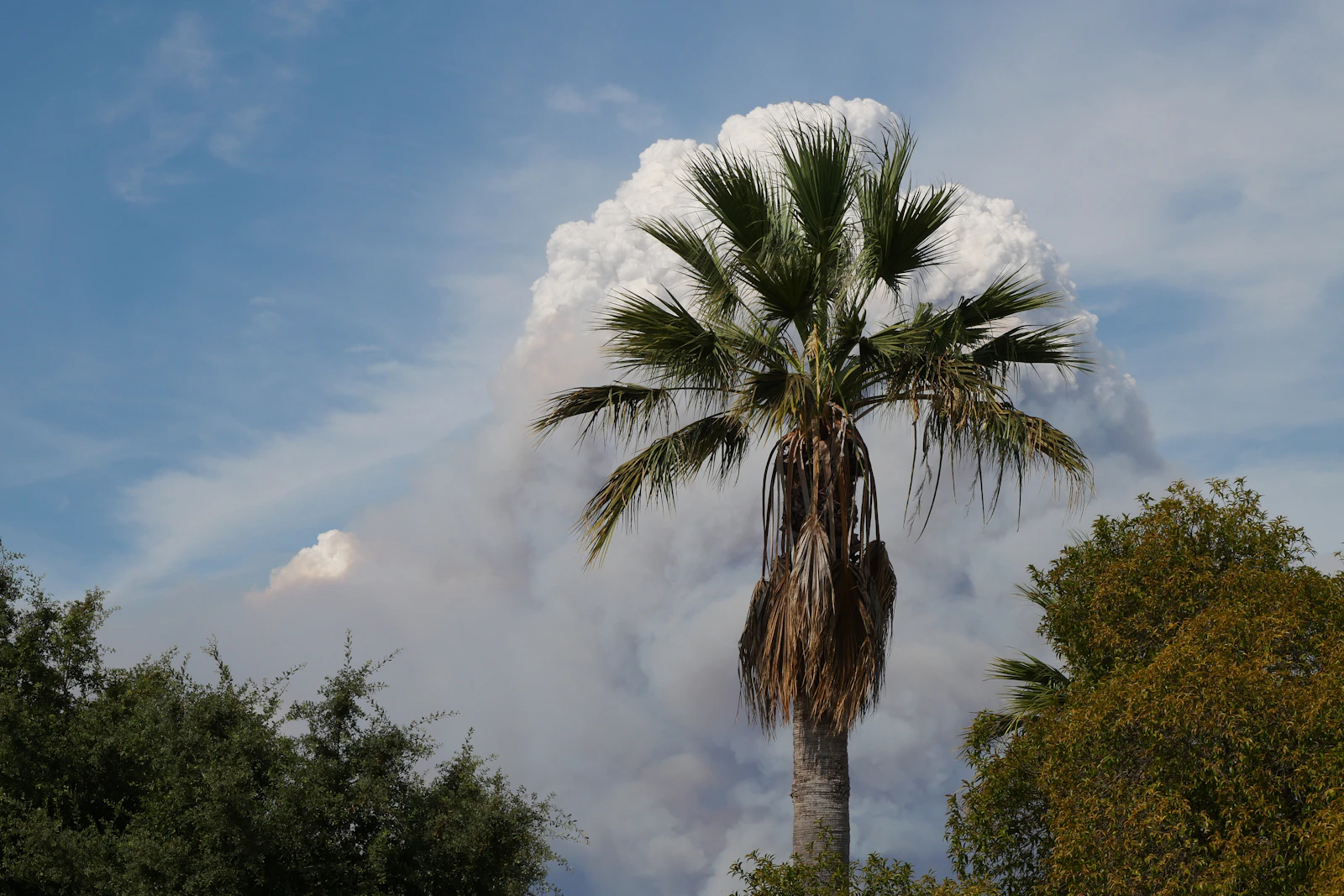 Napa, California photo 10 by Rc Hollenback
