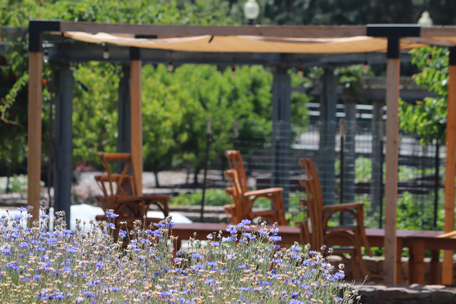 Napa, California photo 29 by Bob Chambers