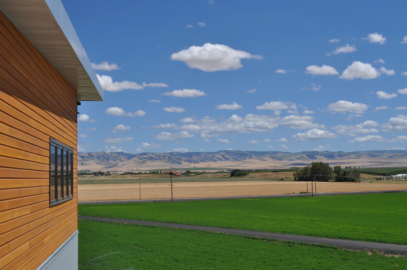 Napa, California photo 22 by Janet Wixom
