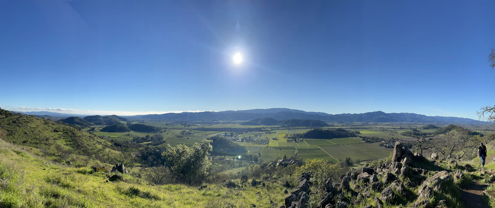Napa, California photo 16 by Pam Novak